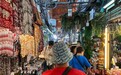 布局东南亚，鲸鱼出海研究院杨桃泰国市场考察圆满结束