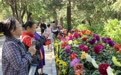 北京市属公园四天迎客258万人次！明起人流逐渐回落