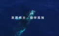 对话水木梧桐创投：把握结构性趋势是未来投资关键