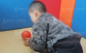 儿童自闭症是“内向”，是心理问题吗？早期干预有哪些意义？石家庄六一儿童医院
