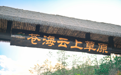 大理春节打卡好去处
