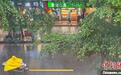 强雷雨晨袭广州 部分街道现积水