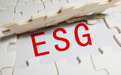 【ESG真心话】陈锋：国内评级体系一致性不够 企业ESG投资仍缺乏参照