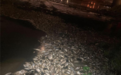 台媒：桃园环保局确认在台美商工厂盐酸管线破裂，“毒死上万条鱼”