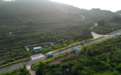 只有好“丰”景怎够？威海无花果走出门夺得“俏”市场
