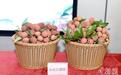 广州今年荔枝产量预计约6万吨 冻眠技术助力出口