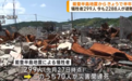 日本能登半岛地震已过半年 震区仍有2300人避难