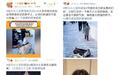 “南方小土豆”之称引发争议，媒体：走路要看路，玩梗要适度