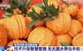 冬天水果也丰收、竹林空气变成钱……智慧管理带来乡村新发现