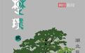 从荆楚舞蹈读懂湖北文化，《楚璞贰》湖北民族民间舞集即将启幕