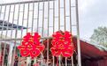 新春走基层|告别“会车即堵车”，新郎家门前的乡村路拓宽成双车道，村里拥有小汽车家庭超六成