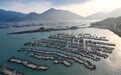 镜观中国·新华社国内新闻照片一周精选丨奇达村：山海交响 渔旅融合(9)