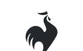 le coq sportif 领先一众法国运动品牌，巴黎奥运会交出满意答卷