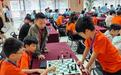 沪港青少年以棋会友 相聚上海共下“一盘棋”