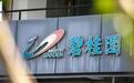 碧桂园仍未公布境外债务重组方案，曾表示9月完成条款清单拟定