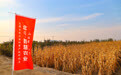 数字绘就乡村新画卷｜从“会”种田到“慧”种田，北斗赋能智慧农业发展
