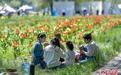 “安营扎寨”赏花海 乌鲁木齐民众乐享假日时光