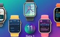 苹果watchOS 11带来惊喜功能：Apple Watch终于支持更换铃声