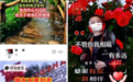 互联网上有多少马云梦女？