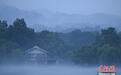 杭州西湖云雾飘渺 尽显江南烟雨之美