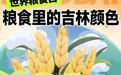 世界粮食日丨粮食里的吉林颜色