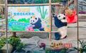 大熊猫“盟盟”5岁成人礼，先亲亲“自己”！玩累洗澡睡觉，不理激动的游客