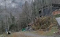 雅安宝兴又拍到野生大熊猫：身形健壮漫步林间，与村民对视几秒后悠然离开