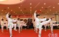 海峡两岸中华武术家齐聚珠海以武会友