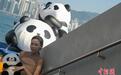 “HELLO PANDAS 熊猫驾到”户外嘉年华活动在香港开幕
