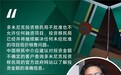 多米尼克撤销违规投资者公民身份，坚守诚信原则