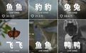 00后的《动物世界》，有病，但爱看