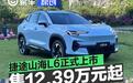 捷途山海L6正式上市 售12.39万元起