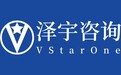 泽宇咨询：践行初心与使命，引领初创企业迈向成功之路
