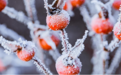 大雪来袭，护头防寒，华森制药都梁软胶囊让你远离头痛