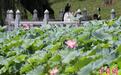 西安兴庆宫公园荷花盛开引游人