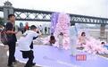 “一网打尽”大桥、长江、电视塔，樱花照相馆搬上城市阳台