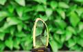 坚持低碳环保，三棵树荣获“人民企业社会责任奖——绿色发展奖”