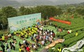 行走在资江边，两岸媒体共饮一杯安化黑茶