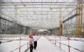 深圳巨型滑雪场初露“真容”