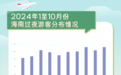 《2024海南旅游市场分析报告》：文旅新消费让海南越来越“年轻”