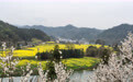湖南怀化：美丽乡村入画来