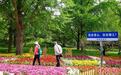 五一假期北京市属公园推出28处踏青赏花场所