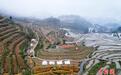 （高质量发展调研行）浙江丽水：冬日云和梯田别样美
