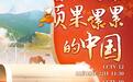 处处好“丰”光！《硕果累累的中国》上新开播