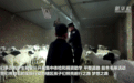 戈壁深处的“警察老师”