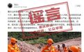 “重庆山体滑坡致14人遇难”？官方辟谣