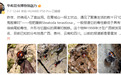 毒性是响尾蛇15倍！知名景点出现几十只“黑寡妇”近亲