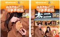 联动「抖音心动上新日」交易额超9100万，太二酸菜鱼开年业绩迎来开门红