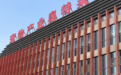 【315特别报道】狗粮配料表随心写，只有净含量是真的！宠物食品为何充斥劣质粮？