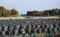 日本为高放射性核废料填埋场选址　一小城欲“应征”